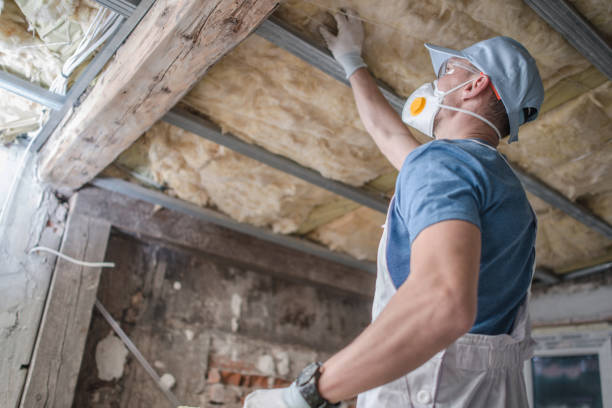 Best Insulation for Specific Applications in Avon, IN